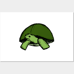 Sad Little Turtle Posters and Art